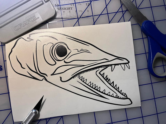 Barracuda Skull